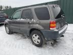 2003 Ford Escape XLT