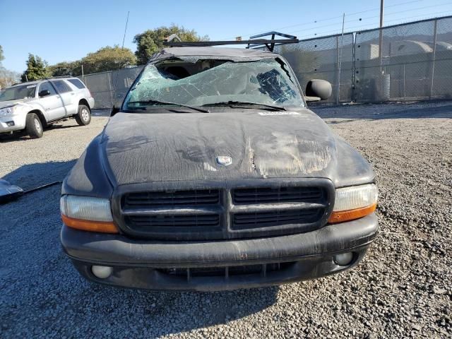 1997 Dodge Dakota