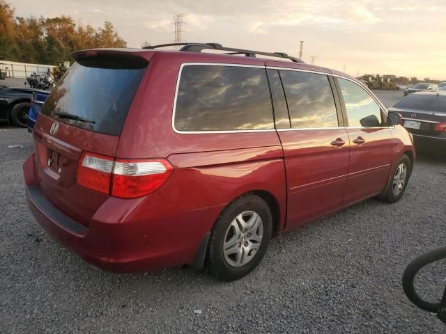 2006 Honda Odyssey EXL