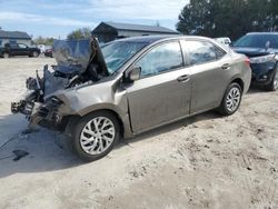 Toyota Corolla salvage cars for sale: 2018 Toyota Corolla L