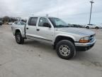 2001 Dodge Dakota Quattro