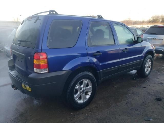 2006 Ford Escape XLT