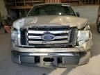 2010 Ford F150