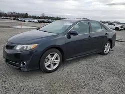 Salvage cars for sale at Lumberton, NC auction: 2013 Toyota Camry L