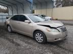 2009 Toyota Camry Hybrid