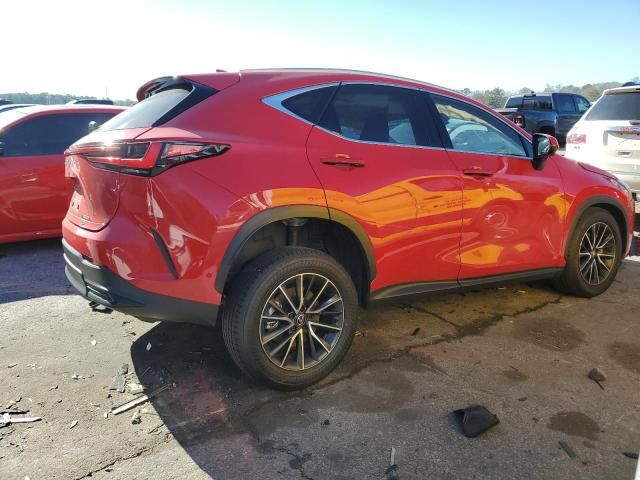 2024 Lexus NX 350H Base