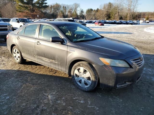 2009 Toyota Camry Hybrid