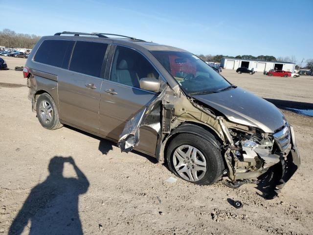 2005 Honda Odyssey EXL