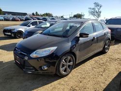 Salvage cars for sale at American Canyon, CA auction: 2014 Ford Focus SE