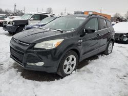 Ford e100 salvage cars for sale: 2015 Ford Escape SE