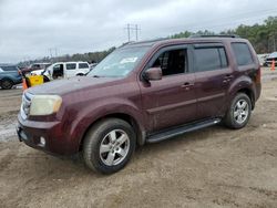 Salvage cars for sale from Copart Greenwell Springs, LA: 2010 Honda Pilot EXL