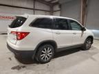 2019 Honda Pilot EXL