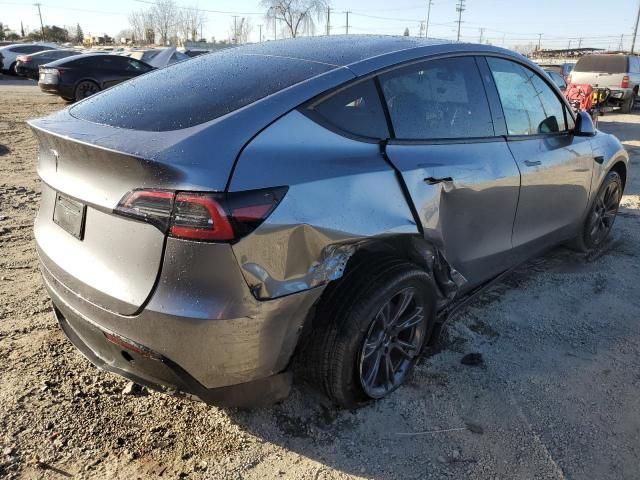 2025 Tesla Model Y