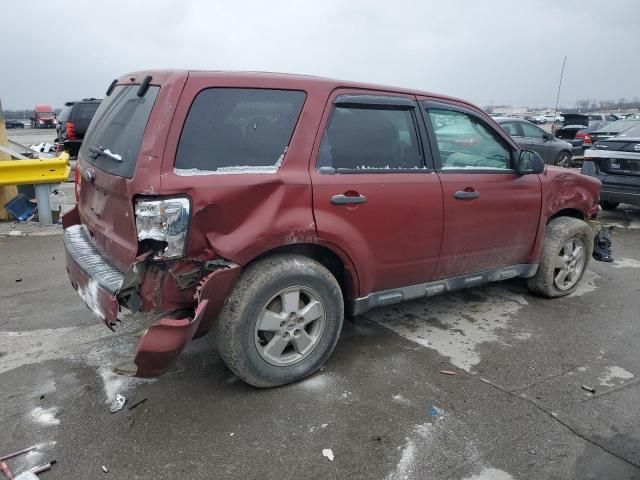 2011 Ford Escape XLS