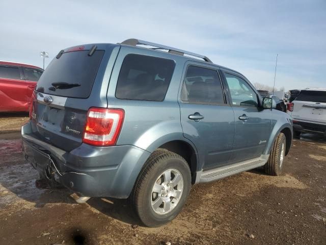 2011 Ford Escape Hybrid