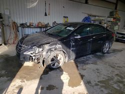 Hyundai Sonata salvage cars for sale: 2013 Hyundai Sonata SE