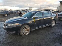 Salvage cars for sale at Eugene, OR auction: 2014 Ford Taurus Limited