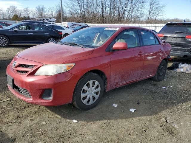 2011 Toyota Corolla Base