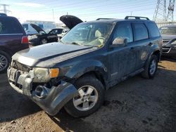 2008 Ford Escape XLT en venta en Elgin, IL