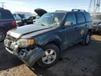 2008 Ford Escape XLT