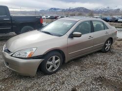 Salvage cars for sale at Magna, UT auction: 2004 Honda Accord EX