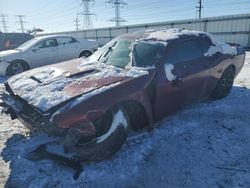 Salvage cars for sale at Elgin, IL auction: 2019 Dodge Challenger R/T