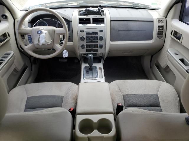 2008 Ford Escape XLT