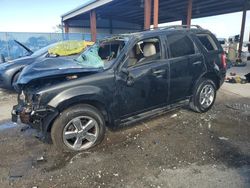 Salvage cars for sale at Riverview, FL auction: 2010 Ford Escape XLT