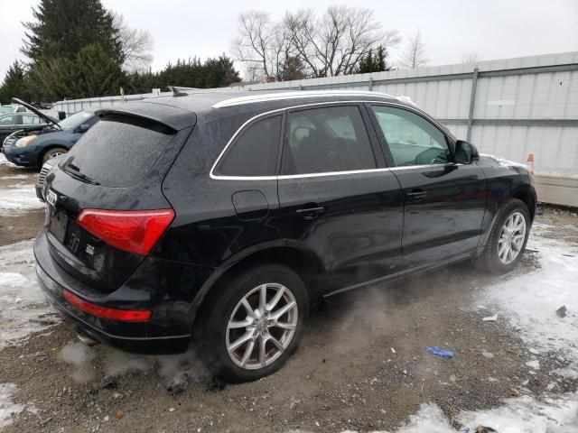 2010 Audi Q5 Premium Plus