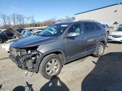 Salvage cars for sale at Spartanburg, SC auction: 2012 KIA Sorento Base