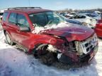 2008 Ford Escape XLS