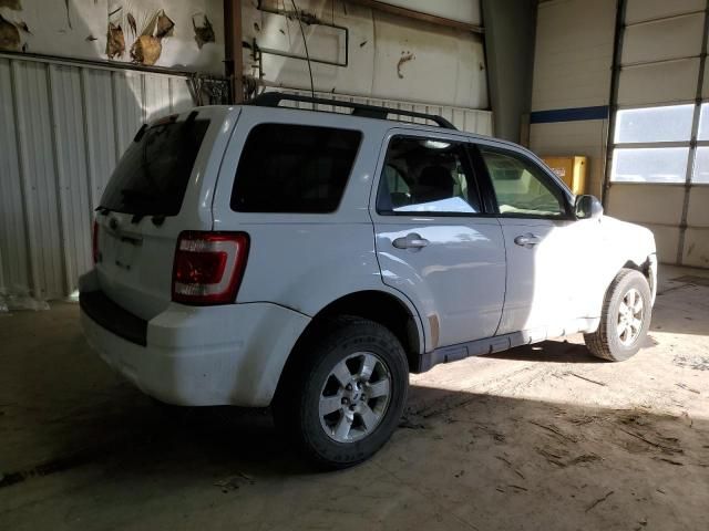 2008 Ford Escape Limited