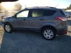 2013 Ford Escape S