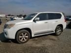 2011 Lexus GX 460