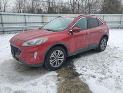 Ford salvage cars for sale: 2021 Ford Escape SEL