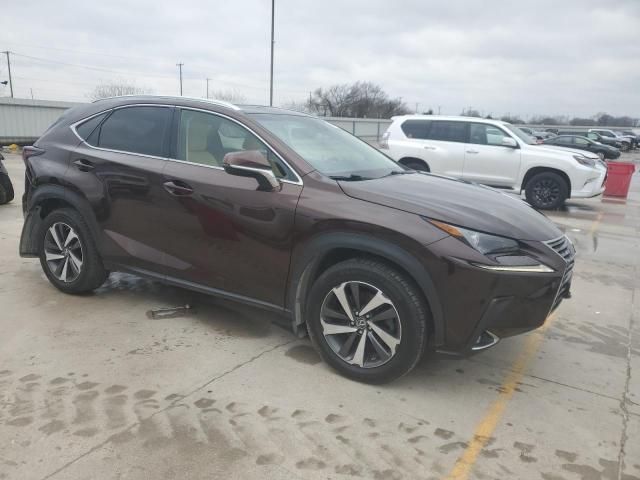 2019 Lexus NX 300 Base