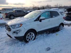 Ford Ecosport salvage cars for sale: 2022 Ford Ecosport SE