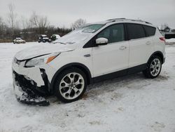 Salvage cars for sale at Columbia Station, OH auction: 2015 Ford Escape Titanium