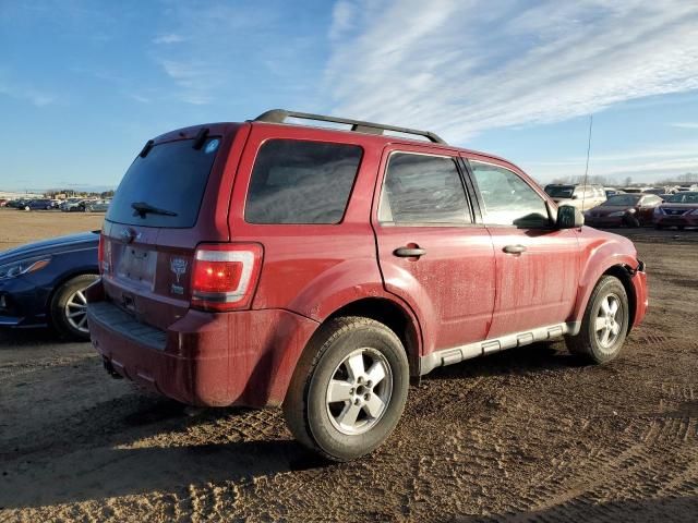 2011 Ford Escape XLT