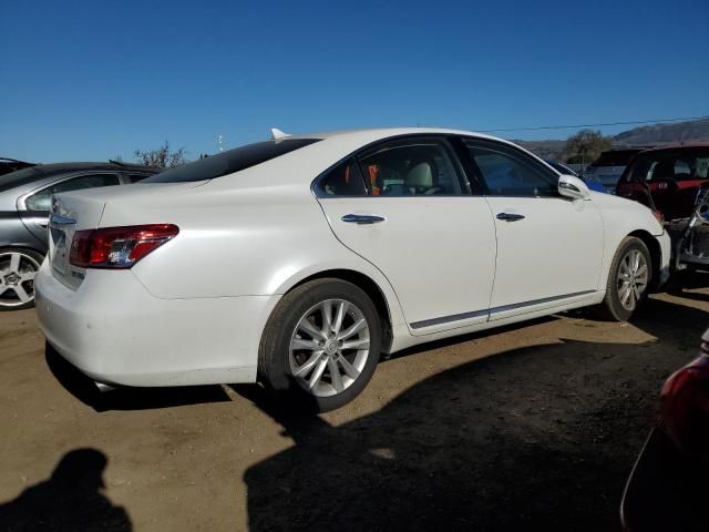 2010 Lexus ES 350