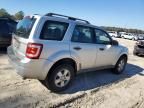 2010 Ford Escape XLS