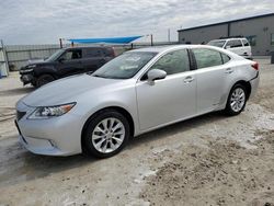 2014 Lexus ES 300H en venta en Arcadia, FL