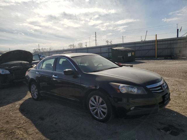 2011 Honda Accord EXL