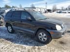 2006 Hyundai Santa FE GLS