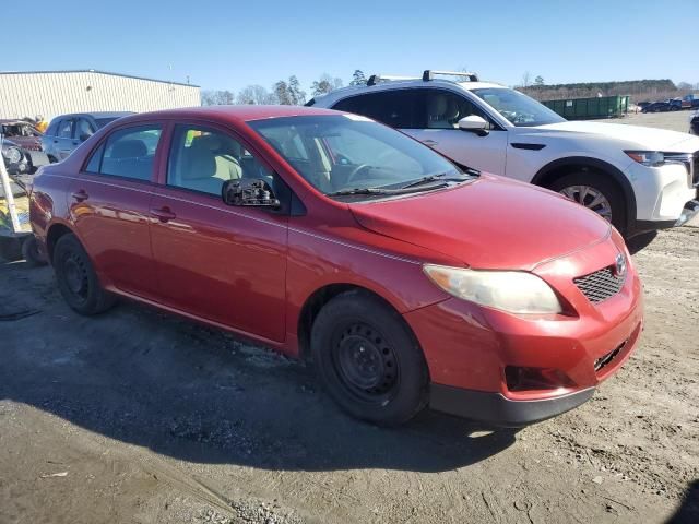 2010 Toyota Corolla Base