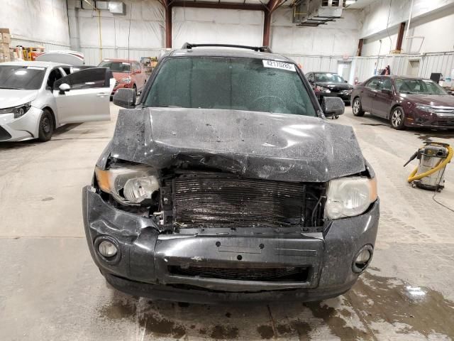 2010 Ford Escape Limited