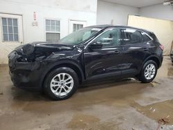 Salvage cars for sale at Davison, MI auction: 2020 Ford Escape SE