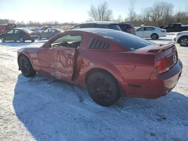 2009 Ford Mustang GT