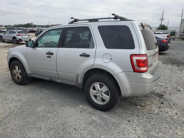 2009 Ford Escape XLT