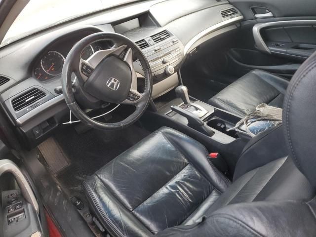 2009 Honda Accord EXL